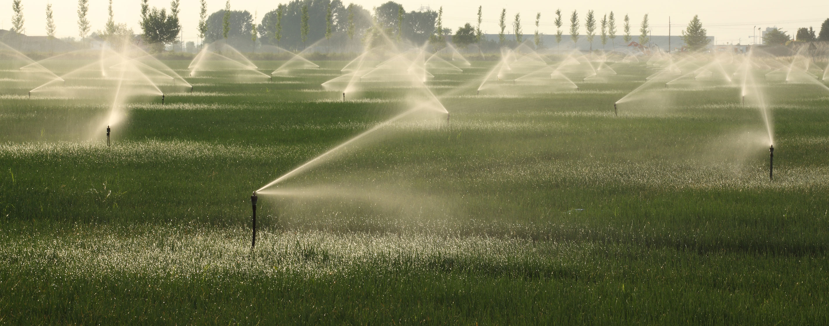 Responsabilità sociale e tutela dell'ambiente