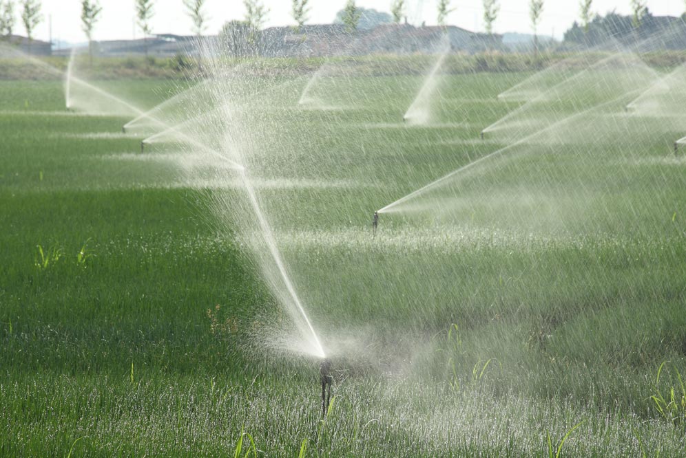 Irrigation